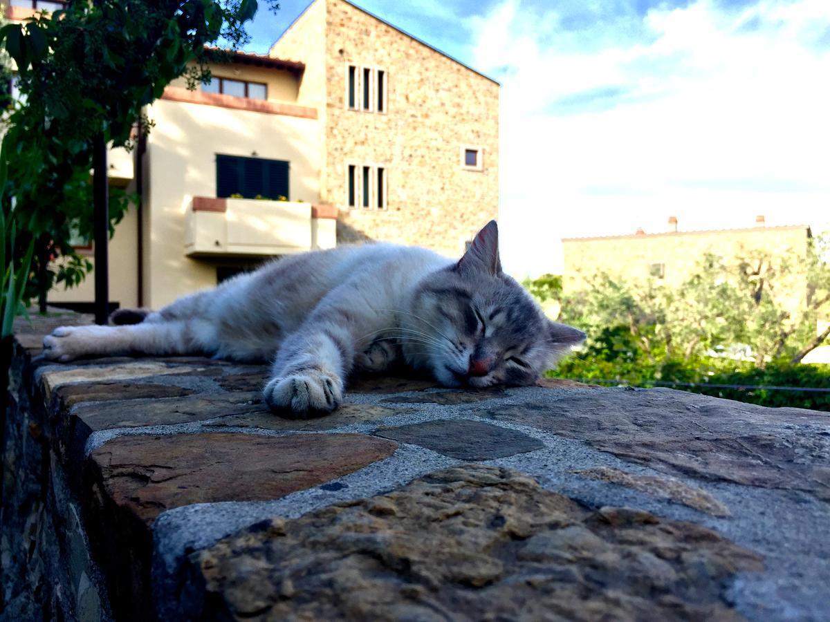 Aparthotel La Compagnia Del Chianti San Donato in Poggio Exterior foto